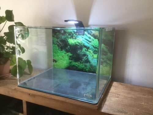 Aquarium te koop