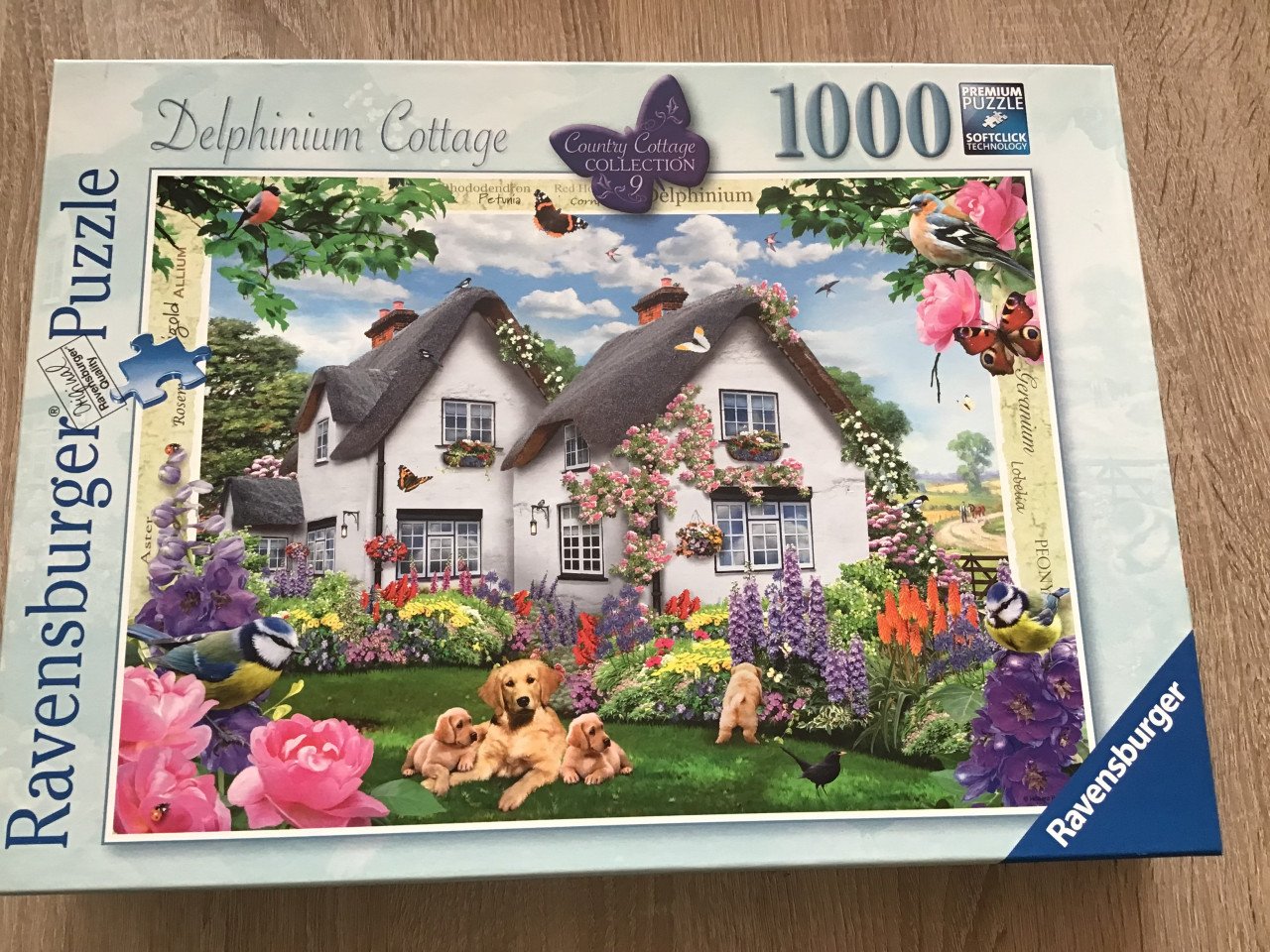 Legpuzzels Ravensburger