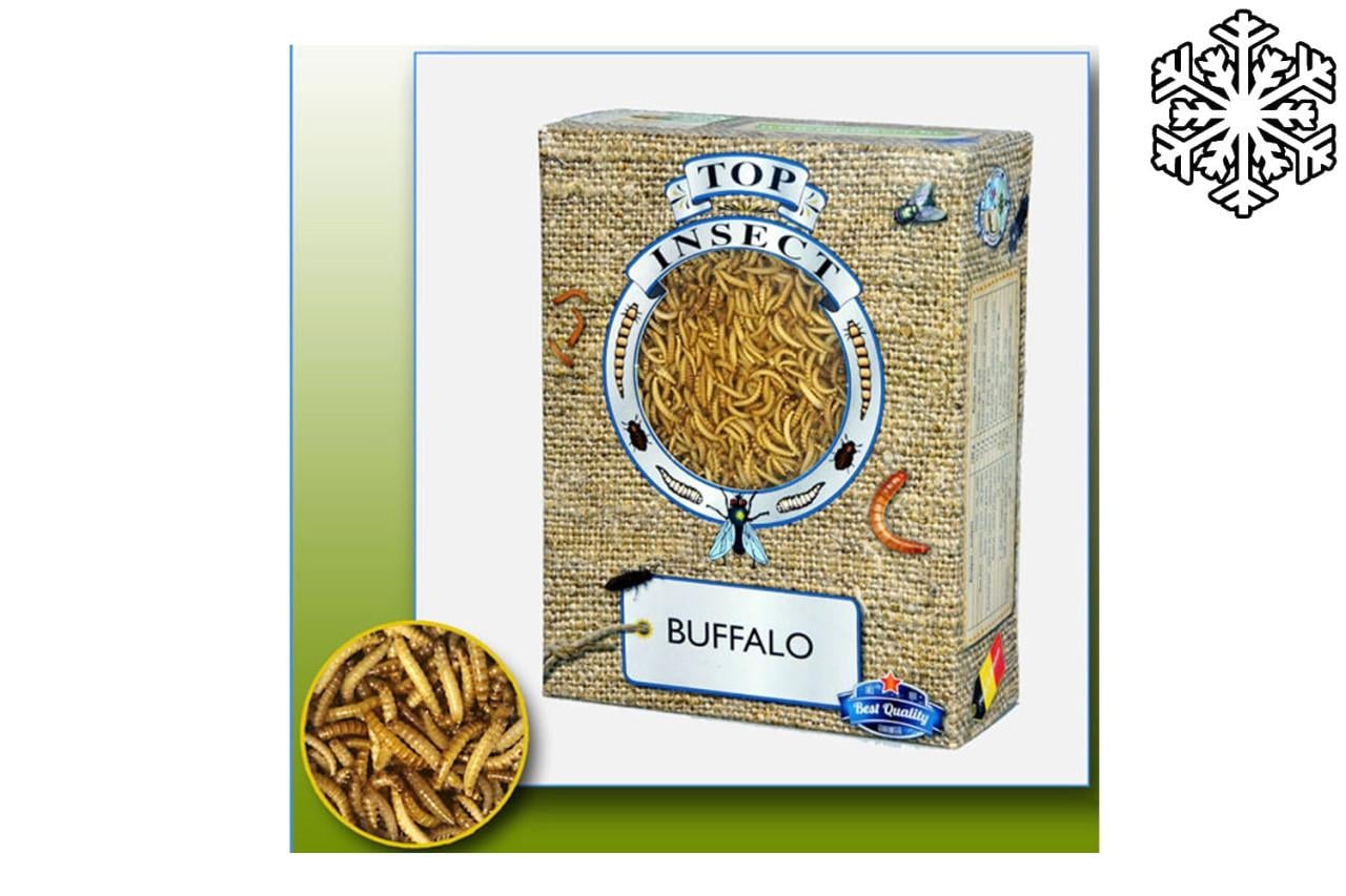 Buffalowormen diepvries 425gr (Top Insect)
