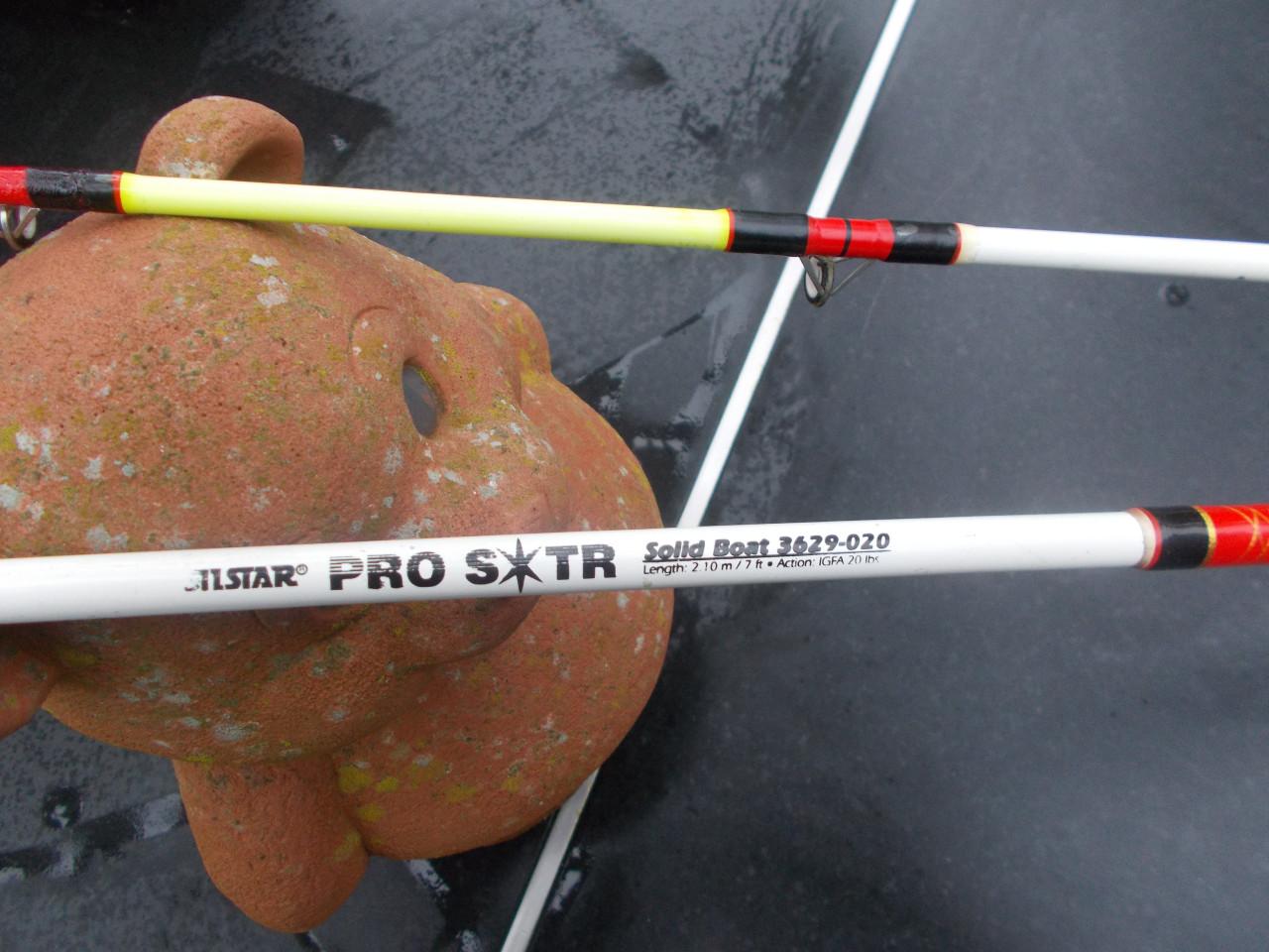 Tweedelige boothengel SILSTAR PRO SOLID, 210 cm