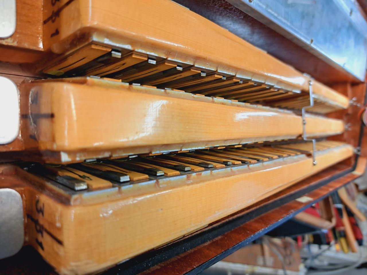 Akordeon/accordion/fisarmonica/ Akkordeon