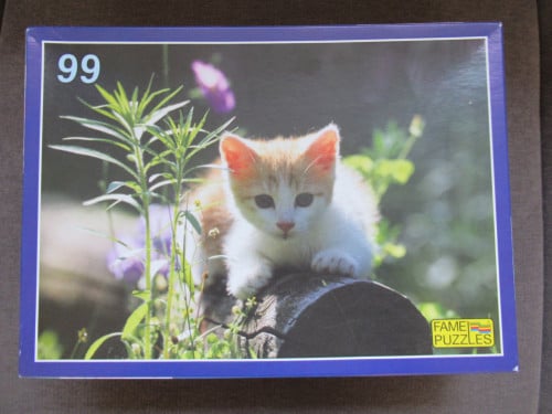 Schattige kinderpuzzel van 99 stukjes, in prima staat