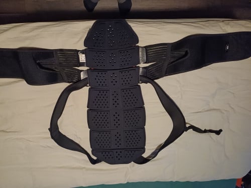 Dainese manus D1 rugprotector