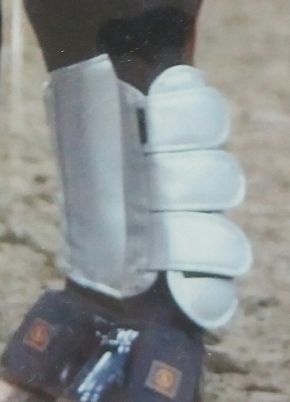 Beschermers zilver