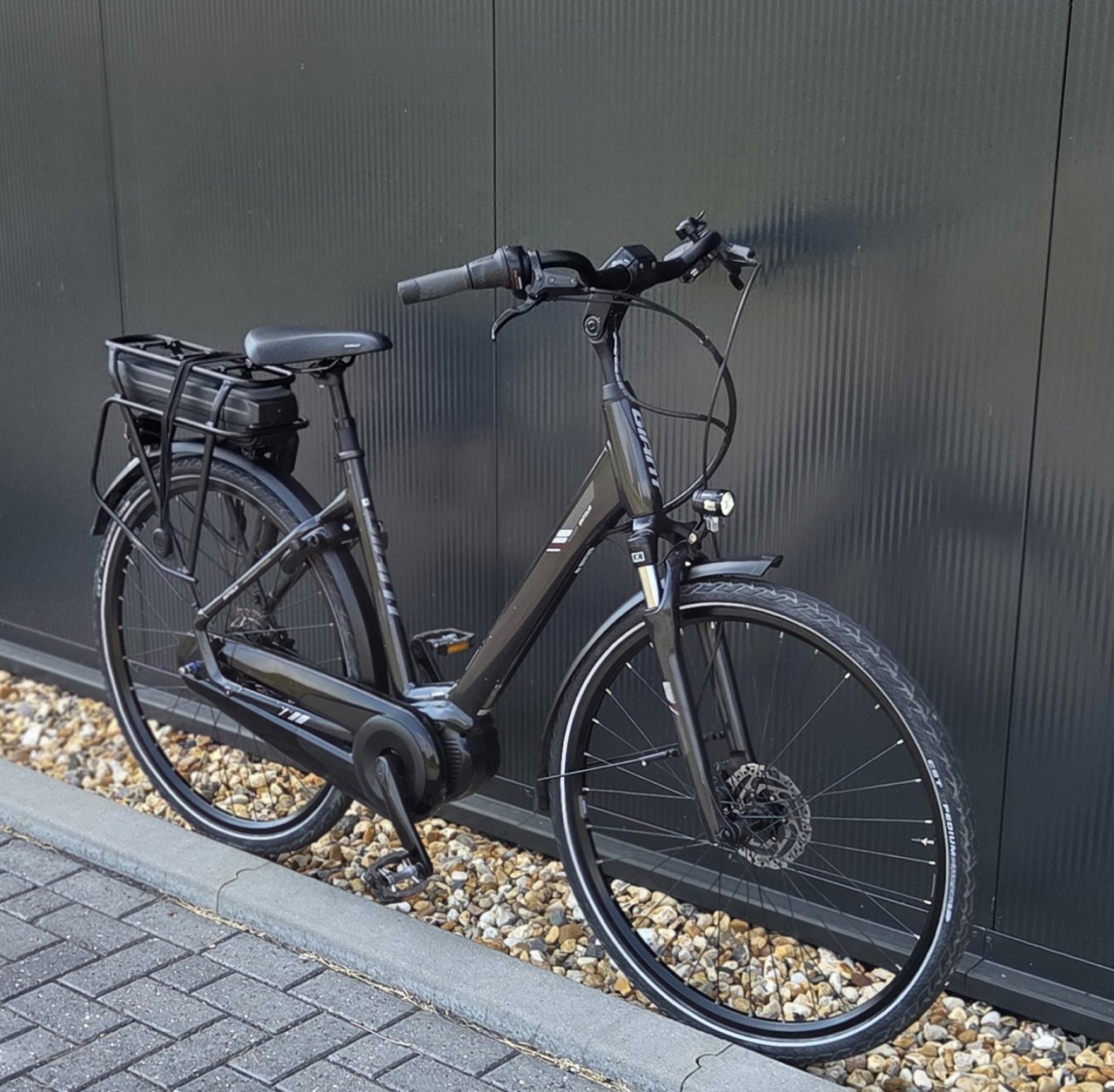Zeer mooie Gaint Entour E + SyncDrive 53cm