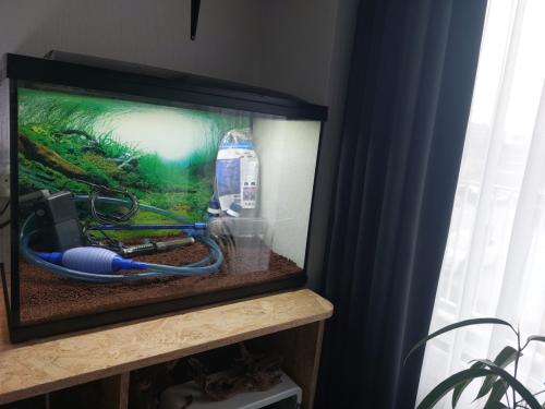 Superfish start 100 nieuwstaat