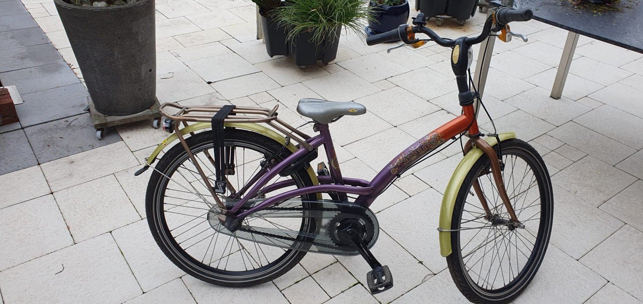 Batavis Gabana meisjesfiets