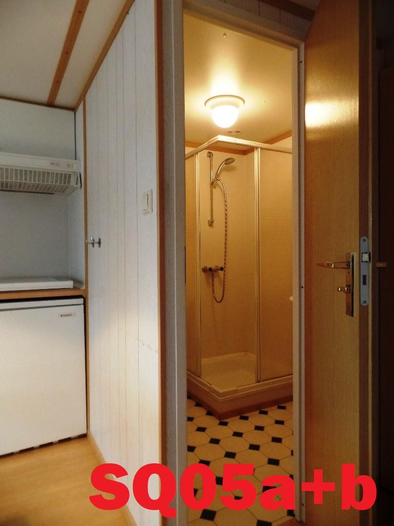 Compact Vroegop L-chalet met 1 slaapkamer te koop