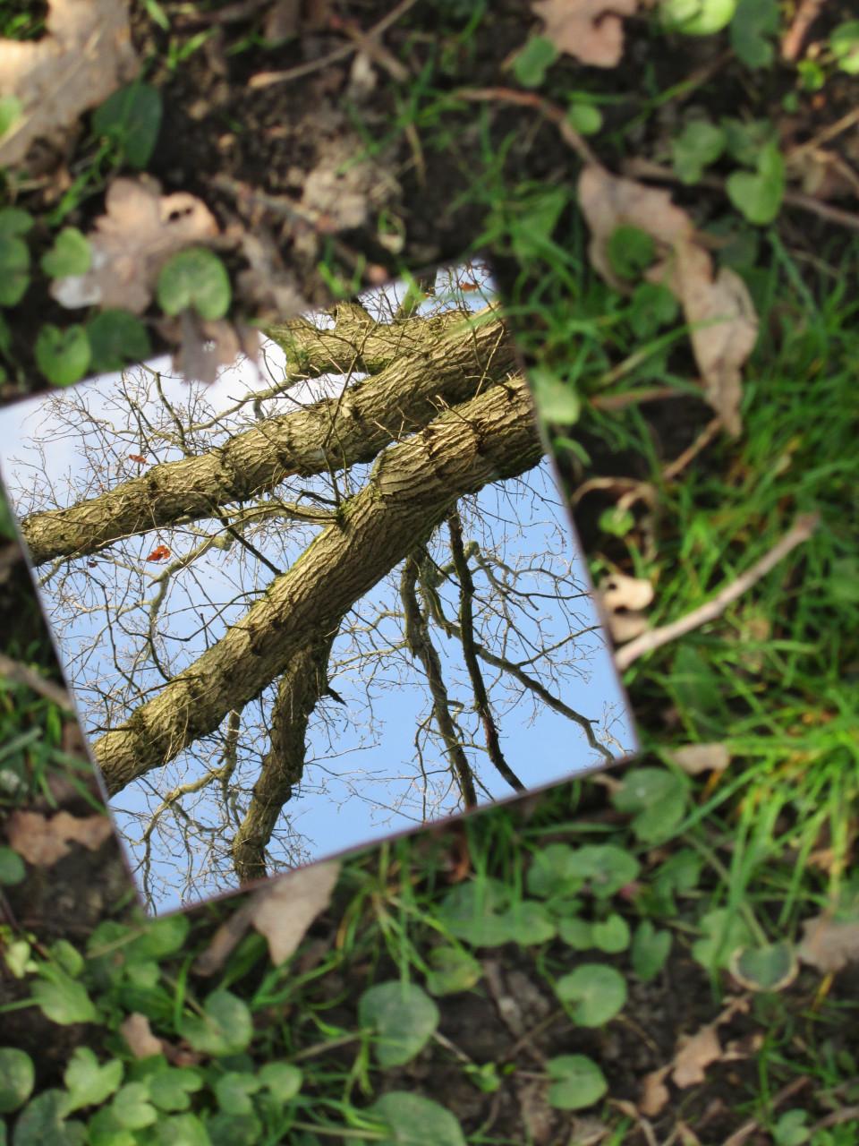 Fotoworkshop (groot) ouder en kind