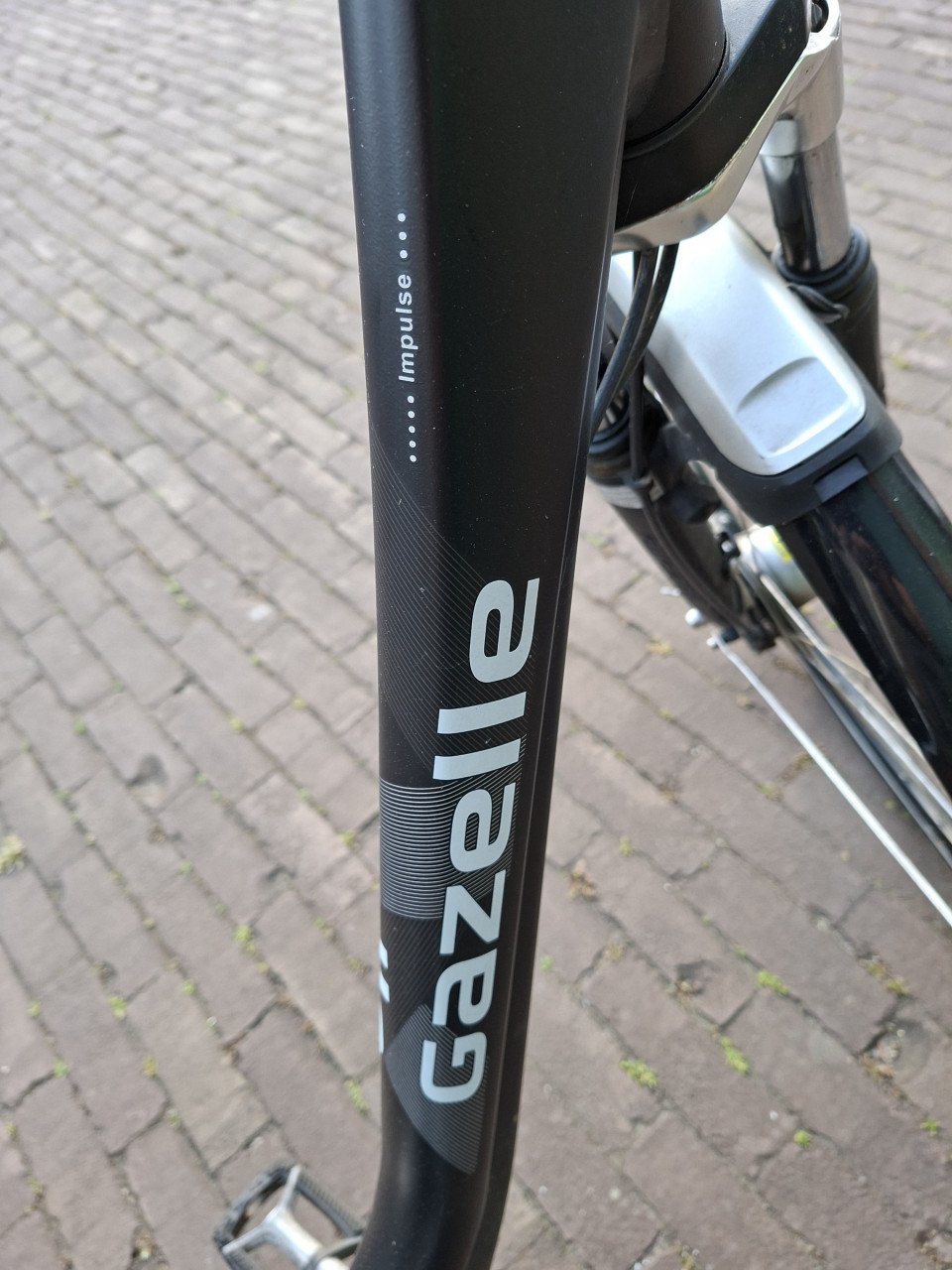 Elektrische damesfiets met swingingwheels