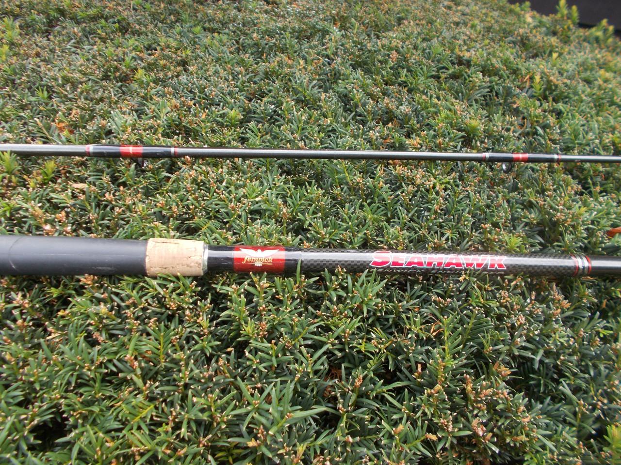 FENWICK SEAHAWK Carbon zeebaars lengte 300 cm w.g. 80-150 gram