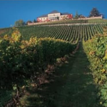 Wiesbaden und Rheingau. Eine Bildreise Harde kaft
