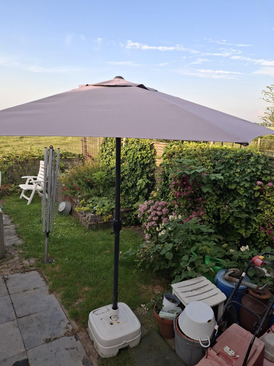 Parasol