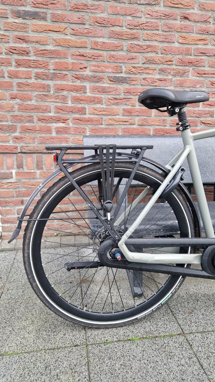 Gazelle Chamonix 2025/2026