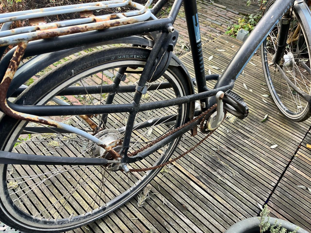 Opknapper Groot Frame voor 190cmPlus