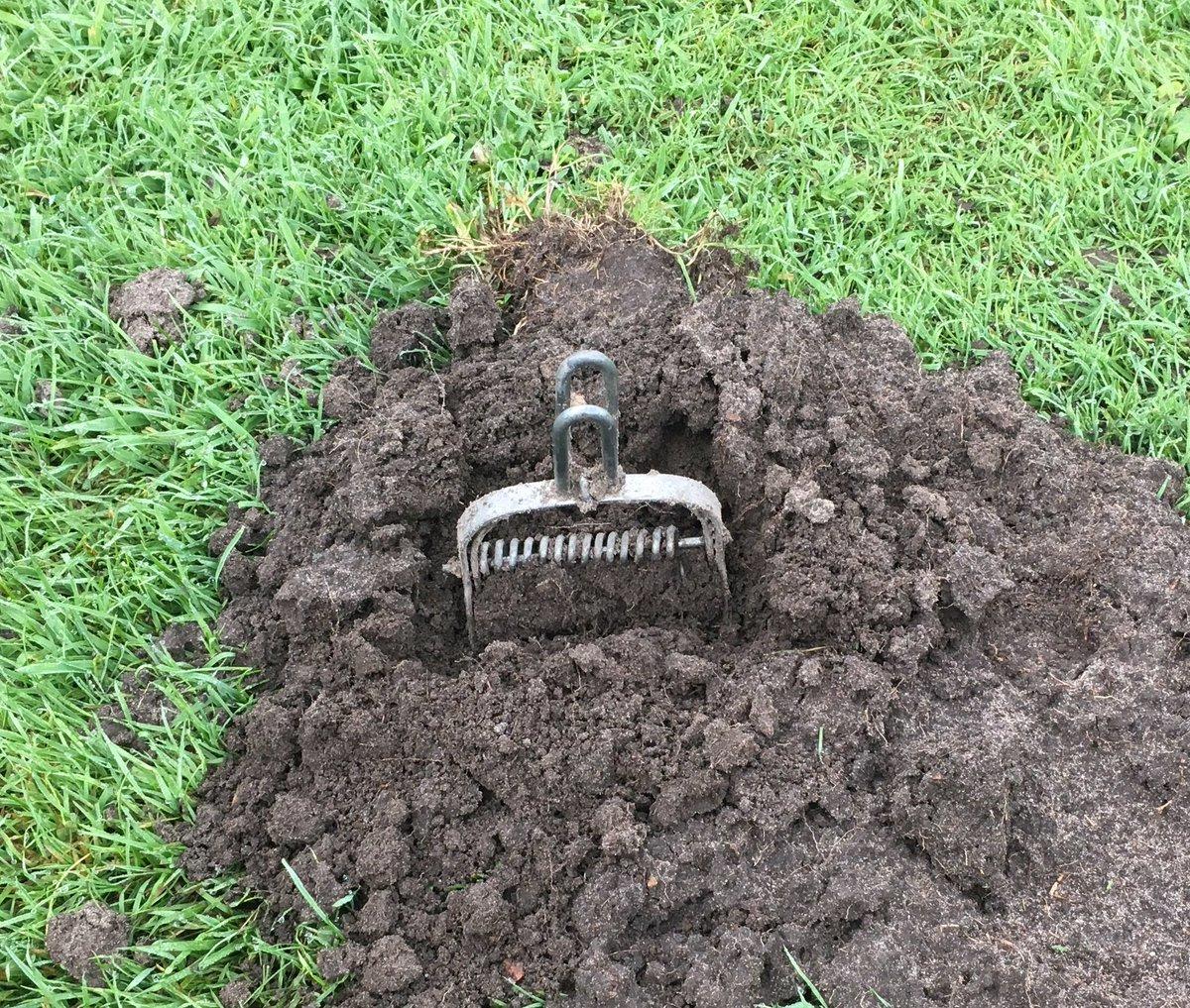 Ervaren mollenvanger