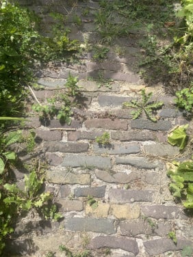 Mooie oude waaltjes ongelijke lengtes: stenen voor tuin 5m2