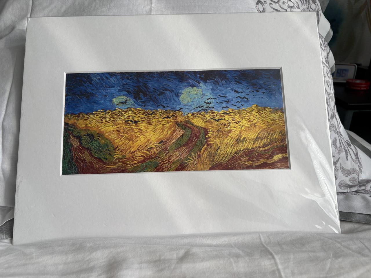 Van Gogh prints met passe partout