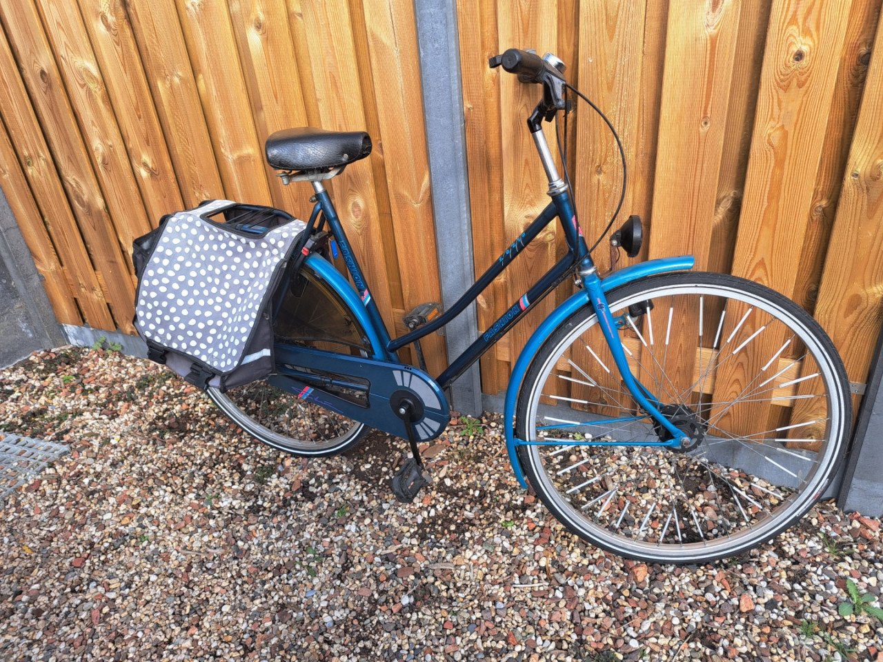 Dames Fiets