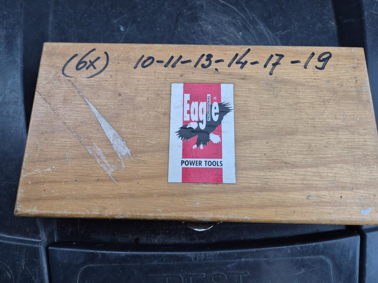 Sleutelset ring/steek eagle