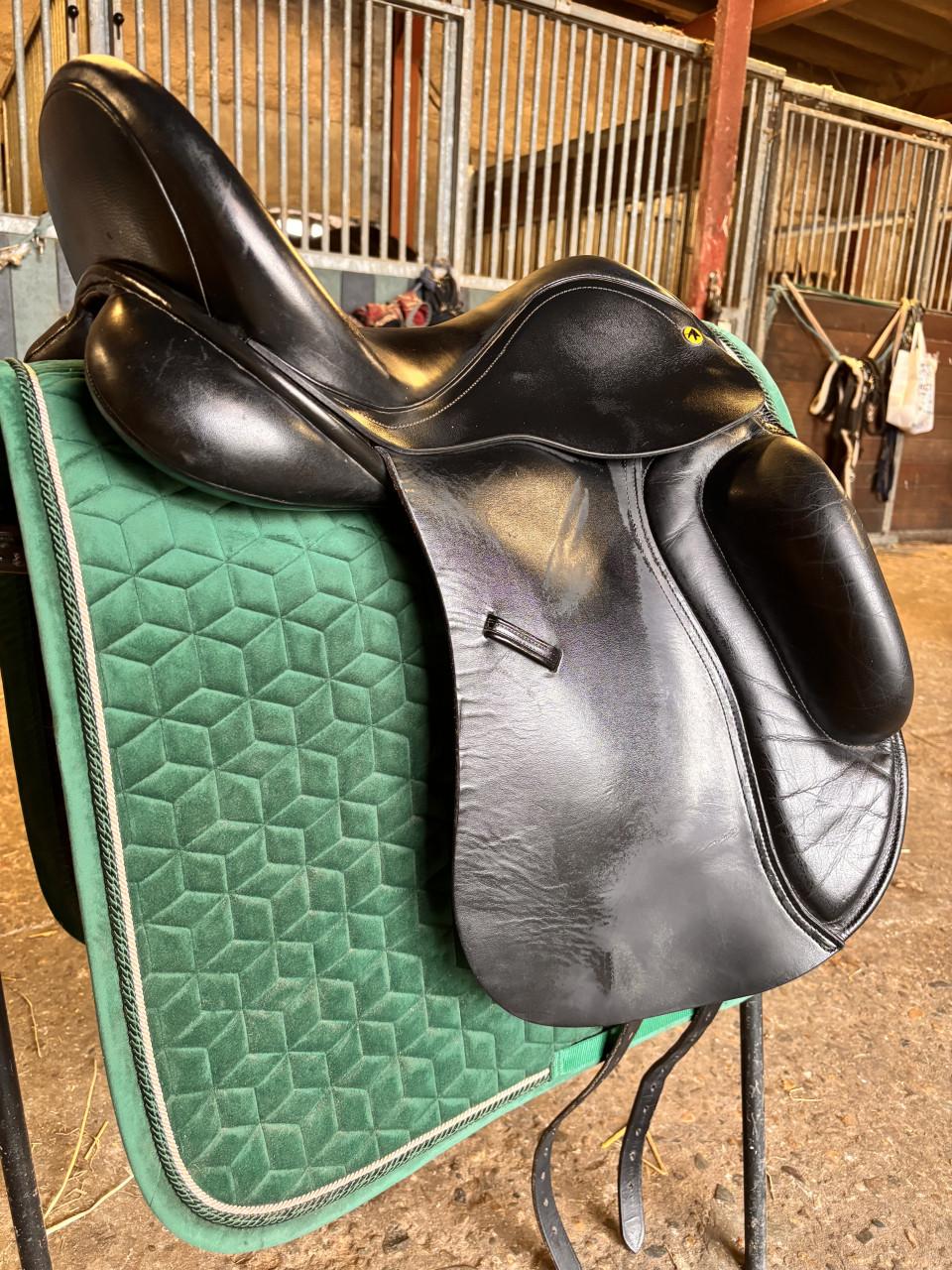 Anatomica Cygnus dressuurzadal