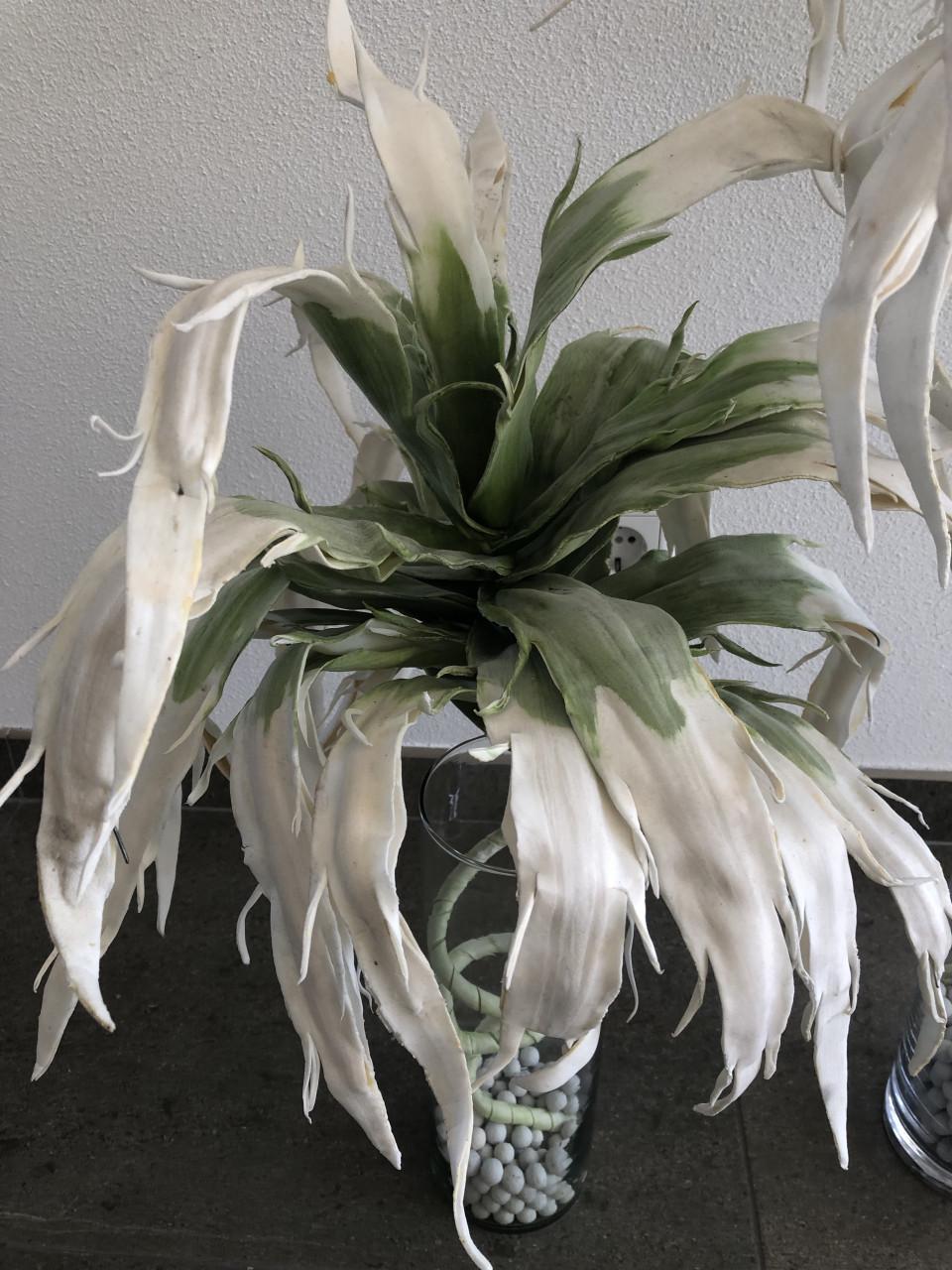 2 glazen bloemvazen