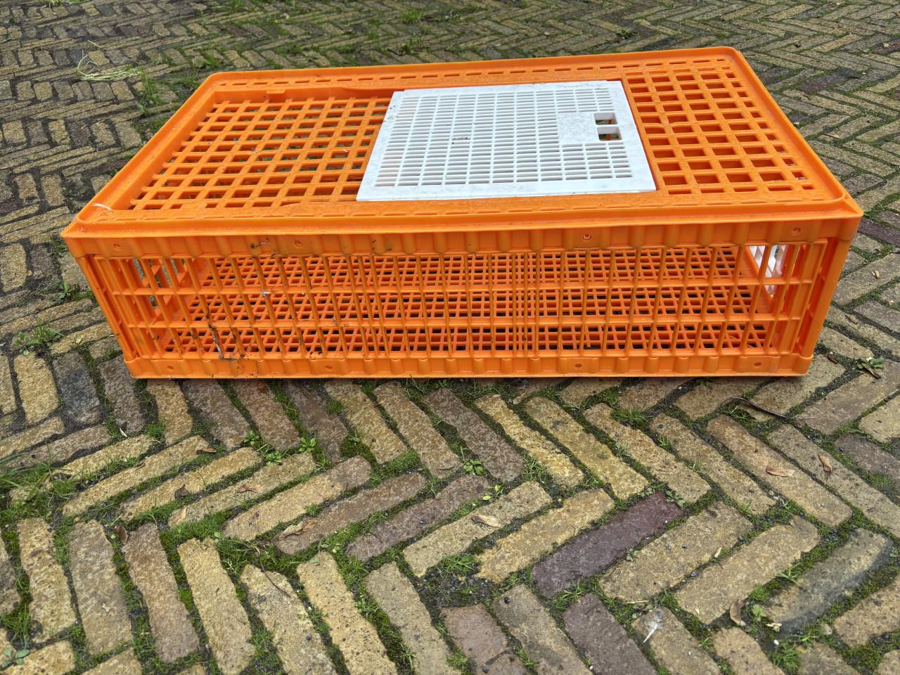 Pluimveekratten