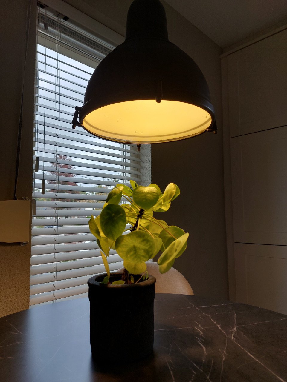 Hanglamp