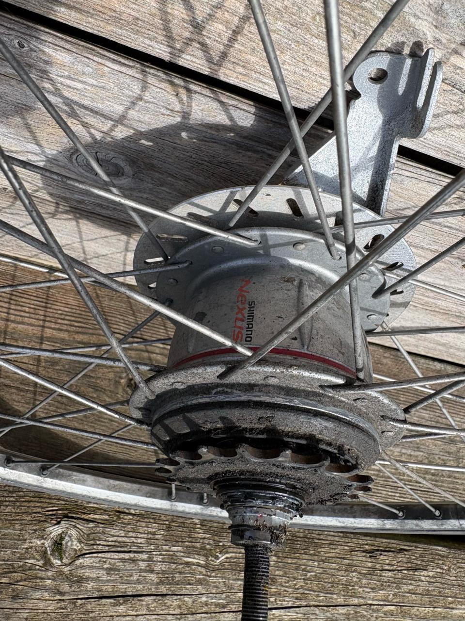 28 inch nexus 8 achterwiel/ naaf