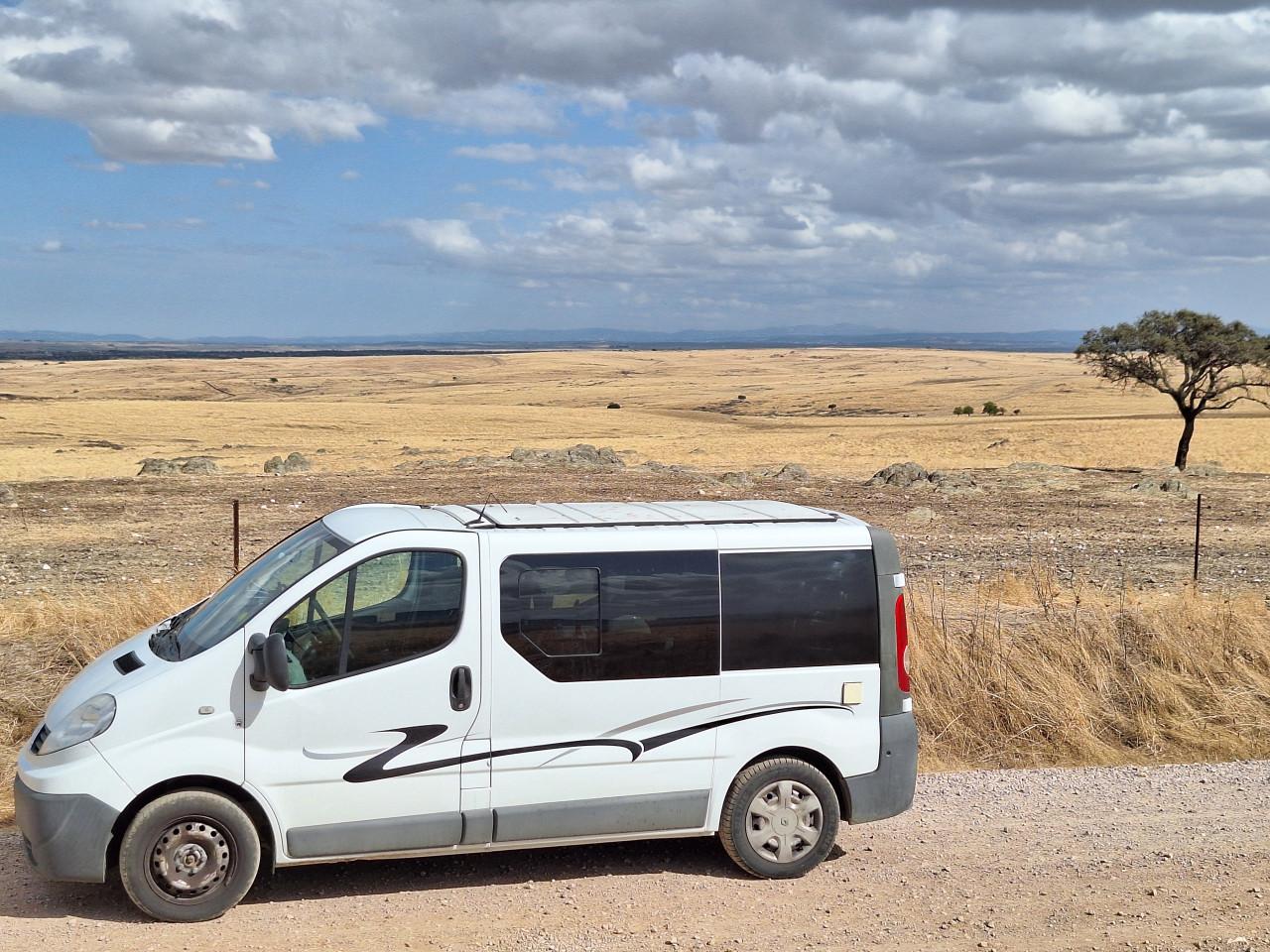 Renault trafic camperbus