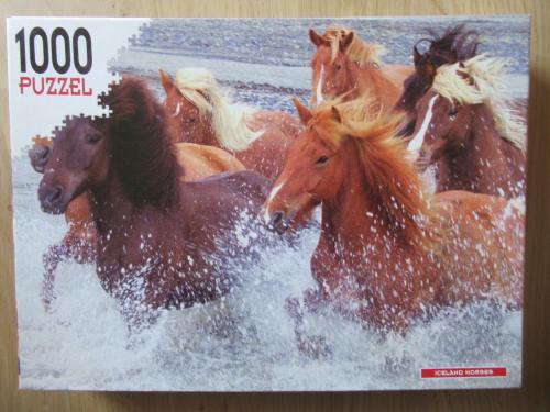 Mooie volledige puzzel van 1000 stukjes, zo goed als nieuw.