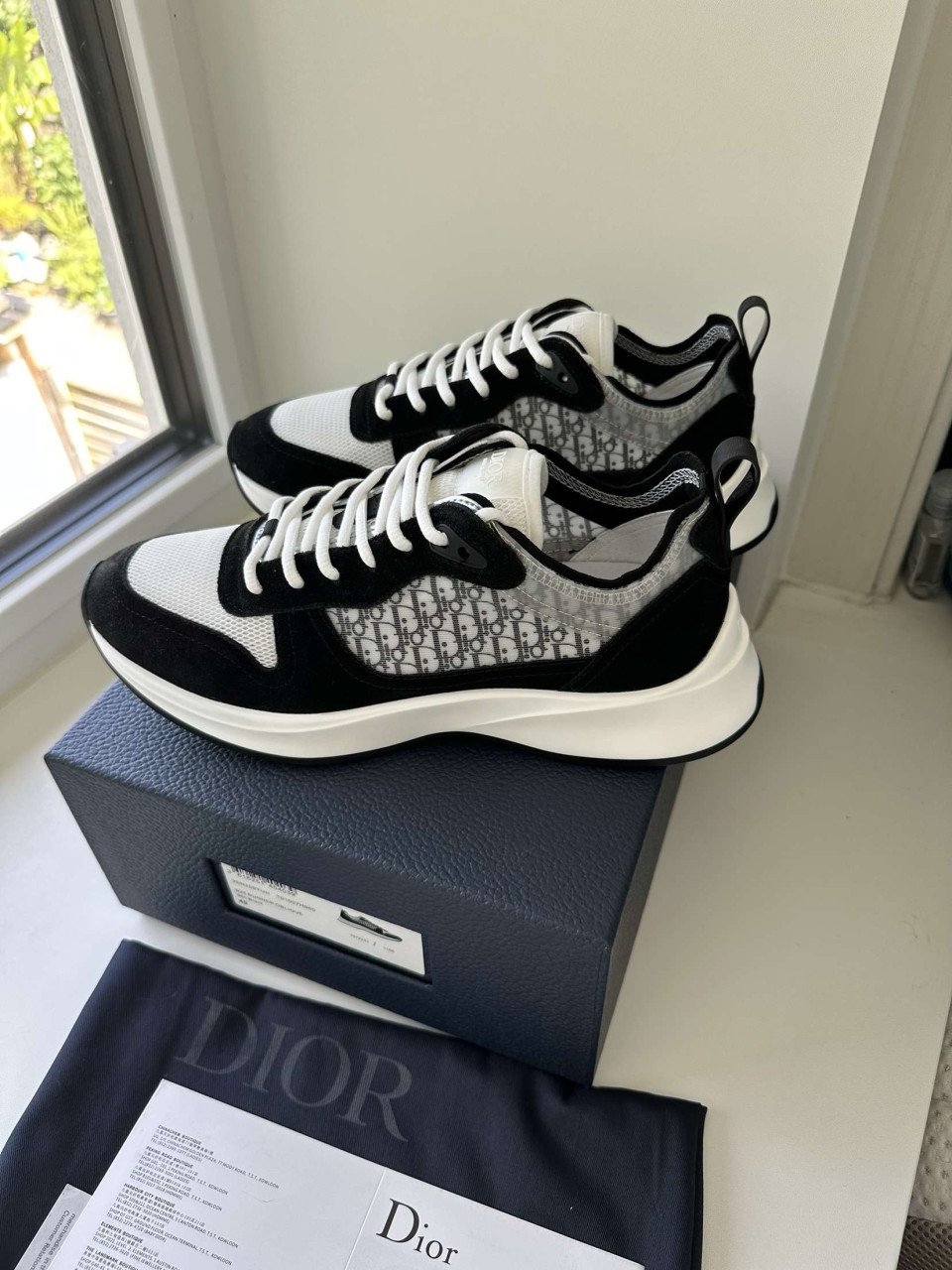 Dior B25