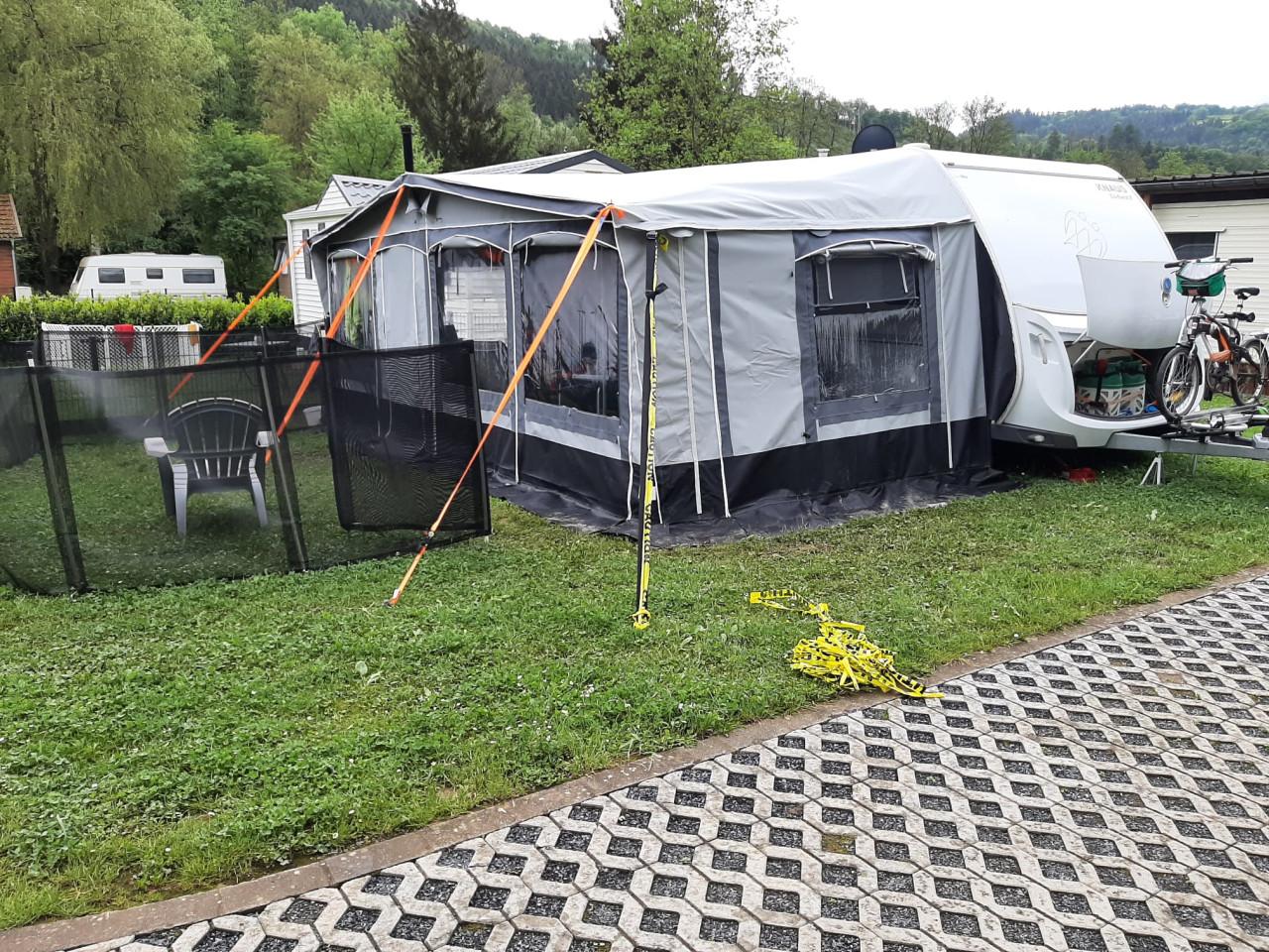 Mooie Knaus 590