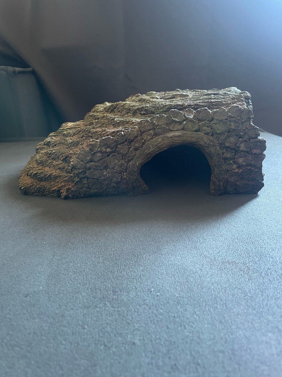 Grot voor in terrarium