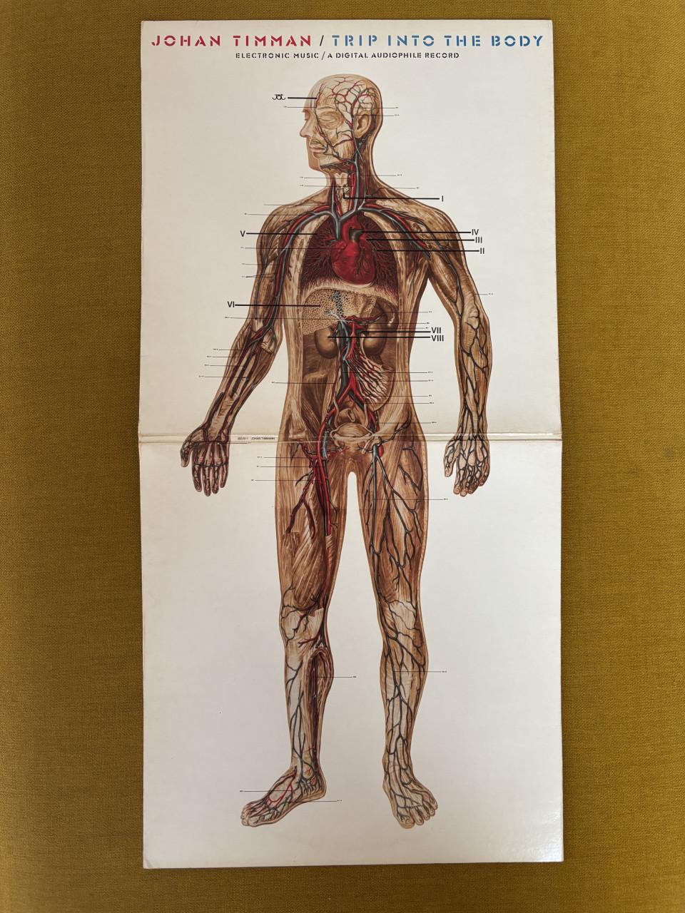 Johan Timman - Trip Into The Body Vinyl LP