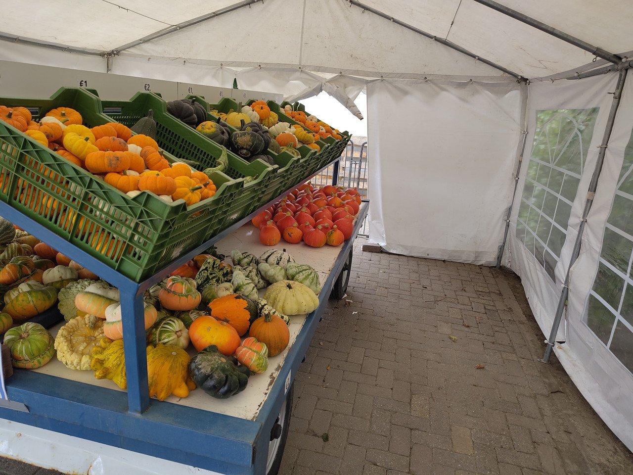 Pompoenen en kalebassen