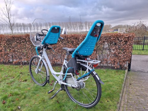 Gazelle Broom moederfiets met fietsstoeltjes