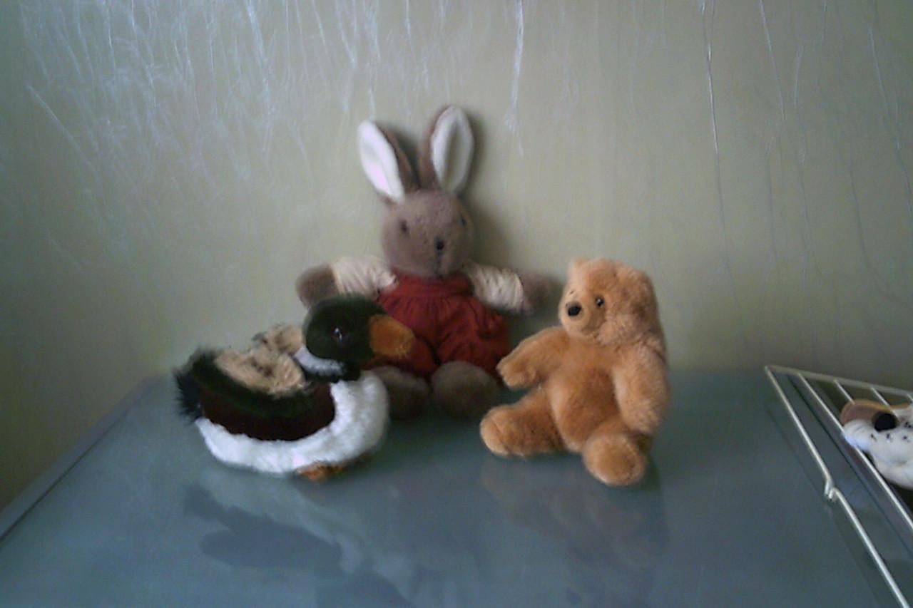 DRIE nieuwe knuffels . . .