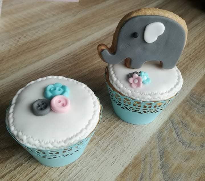 Lekkere  cupcakes (ook vegan)