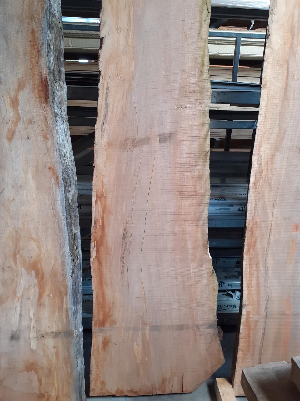 Kers plataan iep es linde boomstam bladen voor een leuke prijs