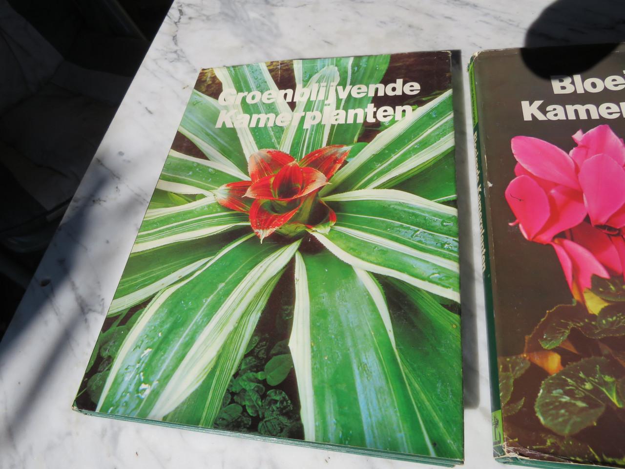 2 boeken ,kamerplanten