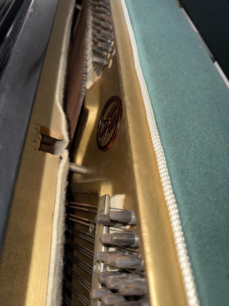 Neumann piano