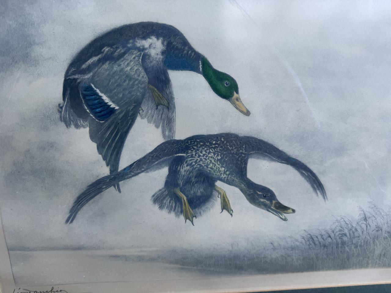 Reproductie Léon Danchin – eenden in vlucht – ingelijst