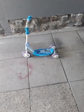 Te koop een mooi frozen stepje