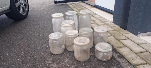 10 weckpotten met deksel