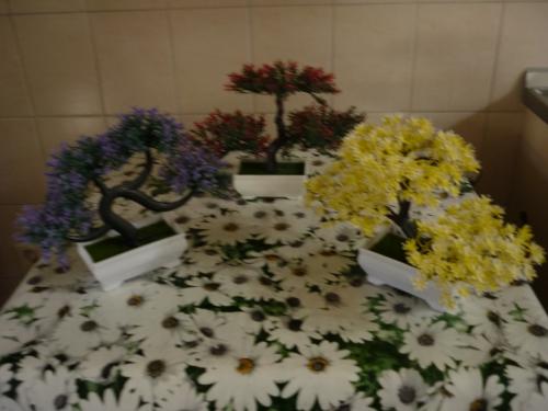 KUNST BONSAI BOOMPJES