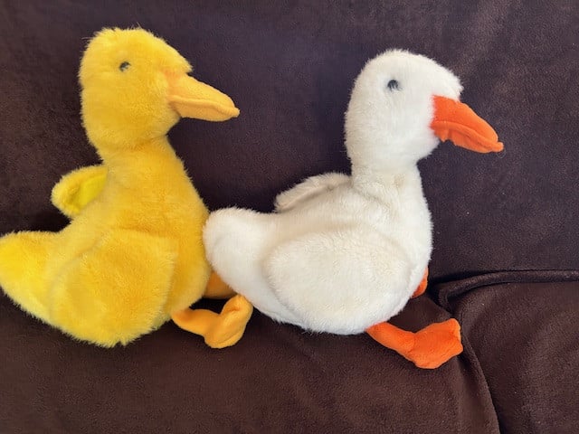 2 leuke eenden..... bewegen en kwekken,