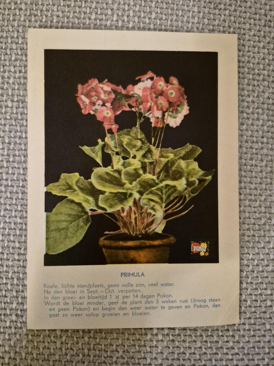 Reclamekaarten planten 1933 ( Pokon )