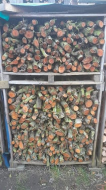 Perenhout - NET GEZAAGD.