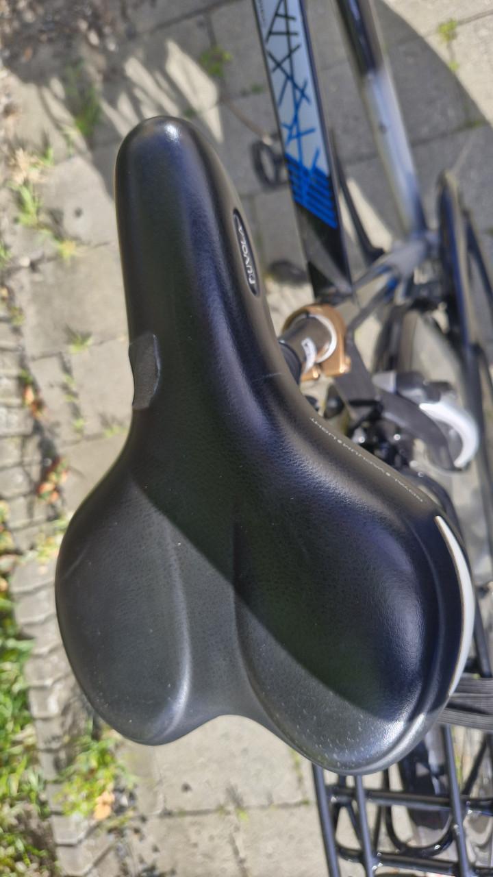 Herenfiets,  gazelle chamonix